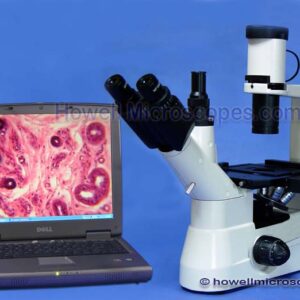 Phase Contrast
Inverted Fluorescence Microscope
Laptop Not Included