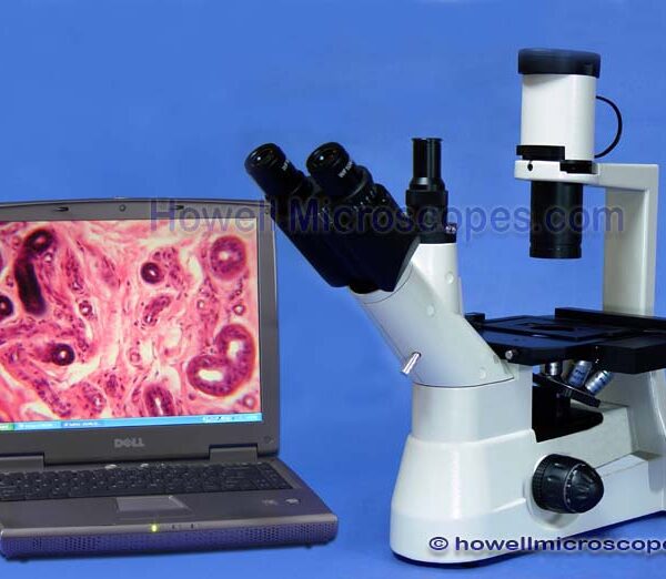 Phase Contrast
Inverted Fluorescence Microscope
Laptop Not Included